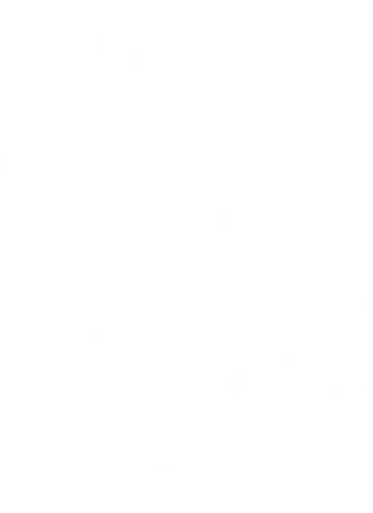 Impacta Festival